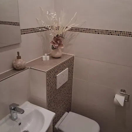 Neu Renovierte In Vogtland *